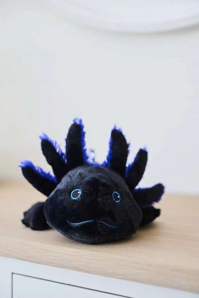 Sansebamse Warmies sort axolotl 