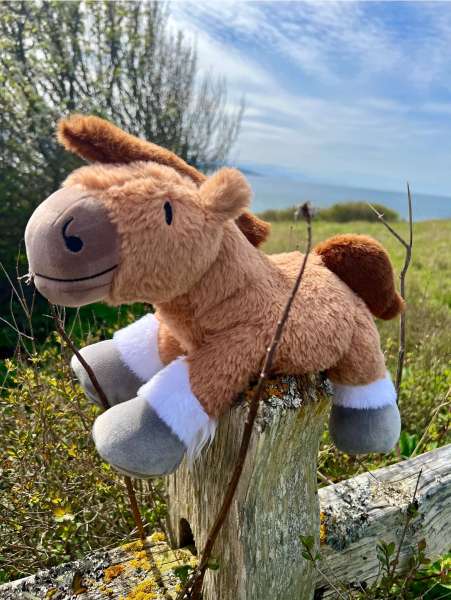 Hest sansebamse i natur – tyngdebamse til leg, ro og sanselig støtte

