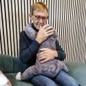 Sansebamse Mega Bent – voksen krammer stor tyngdebamse

