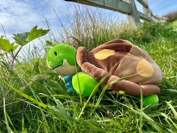 Skildpadde sansebamse med tyngde 