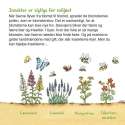 Opslag fra “Fortæl mig om min verden” – illustrationer af planter og natur

