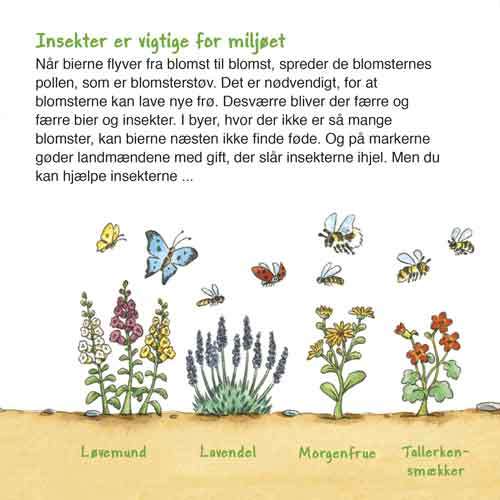 Opslag fra “Fortæl mig om min verden” – illustrationer af planter og natur


