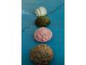 Strandskaller balancesten, beige