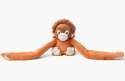Orangutangen Ollie med lange arme – tyngdeven til kram og afslapning

