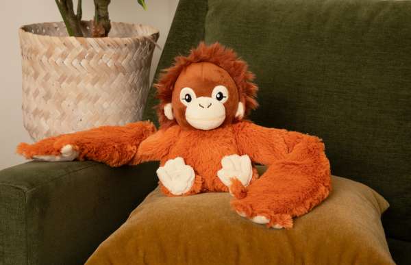Orangutangen Ollie sidder i en stol