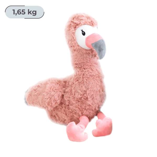 Flamingoen Francesca