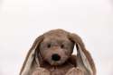 Sansebamse Warmies® brun kanin