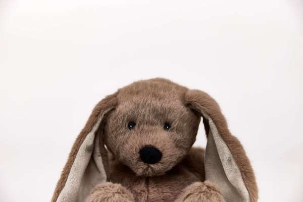 Sansebamse Warmies® brun kanin