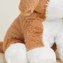 Warmies beagle close-up – detaljeret pels og poter


