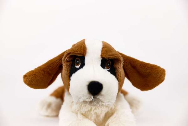 Close-up af Warmies Skt. Bernhardshund ansigt – venlig og beroligende bamse med blød pels


