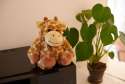 Warmies giraf sidder på bord ved plante – dekorativ og beroligende sansebamse


