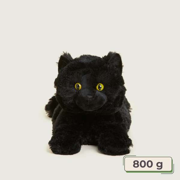 Sansebamse Warmies sort kat