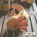 Sansebamse axolotl gul 900 g – blød vægtet bamse med beroligende effekt


