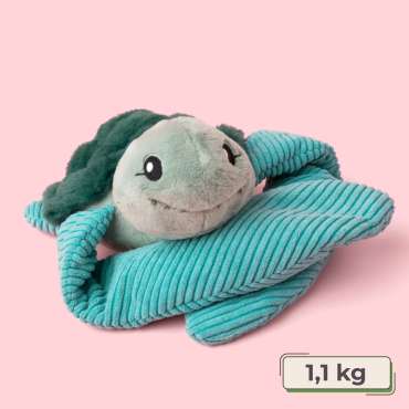 Skildpaden Sidney med vægt