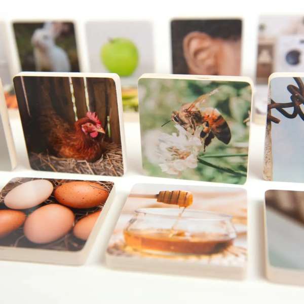 Andreu Toys billedmatch i træ – pædagogisk matchspil til børn.

