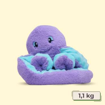 Blæksprutten Indigo Hugaround vist samlet med lange bløde arme og fyldig krop på neutral baggrund