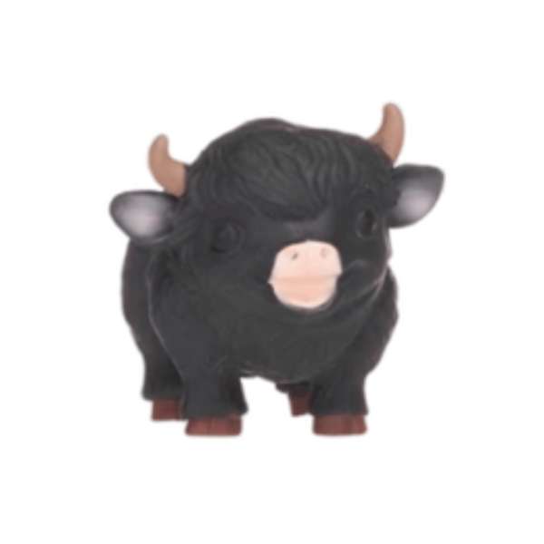 Stor sort squishy højlandsko med horn, pelsstruktur og lyst snudeparti.

