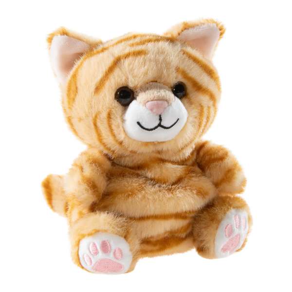 Chagyia kat dimsebamse 